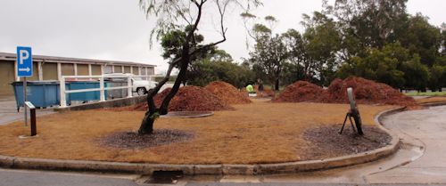 Mulch arriving for the new planting area