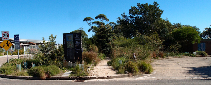 Opposite Building 20 in 2016