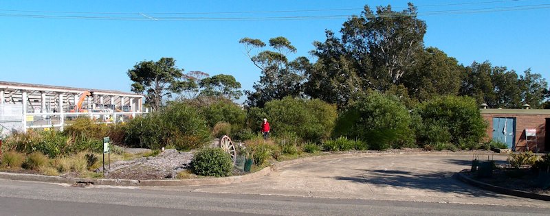 Planted area in mid 2012, with tall trees